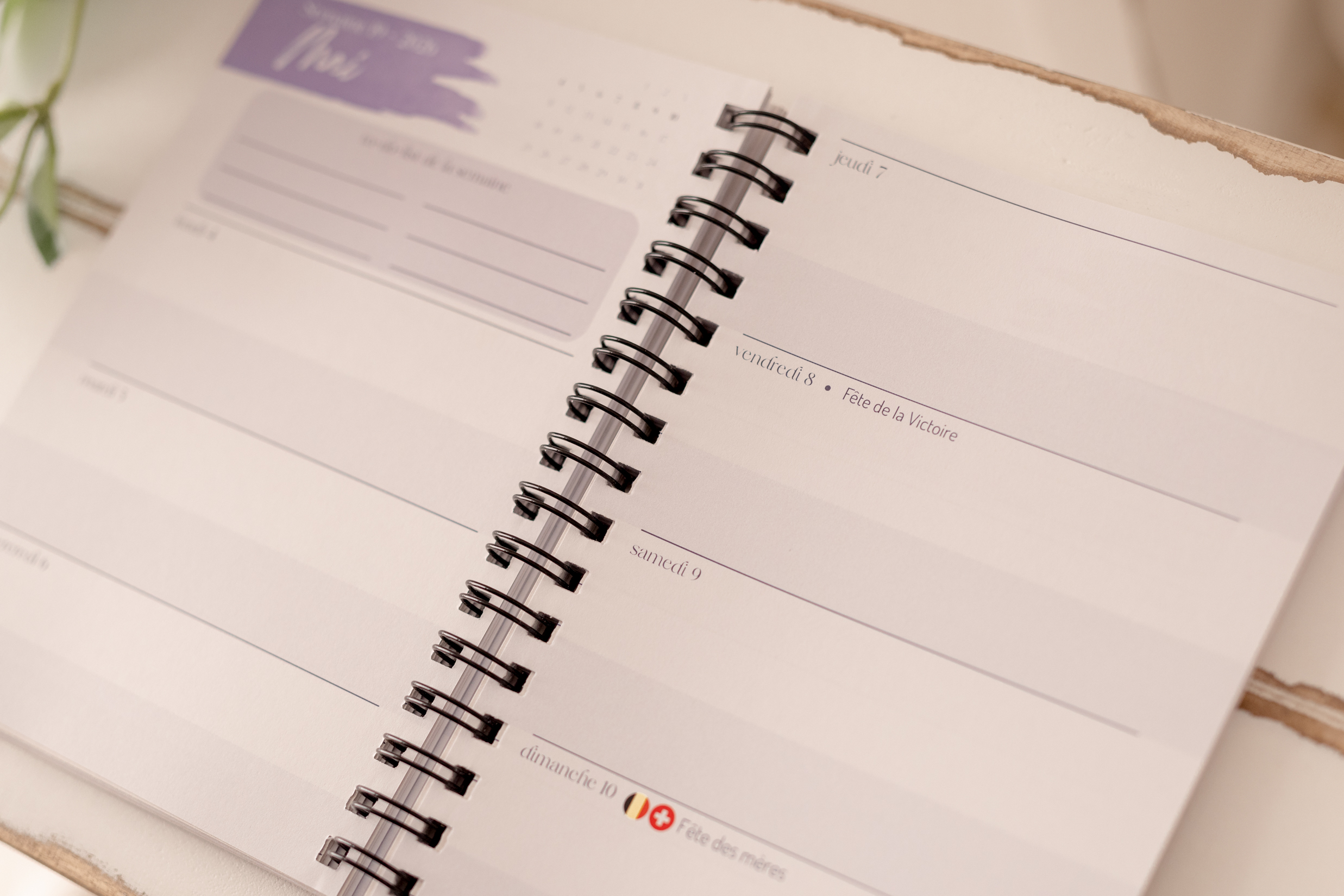Agenda 2026 d'une photographe qui déchire 💜 – Image 8